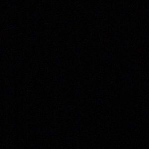 Meet your Posher, Frankie